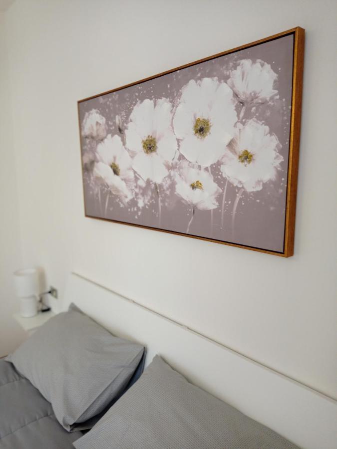 House Piazza Vittoria Apartment Medole Exterior photo